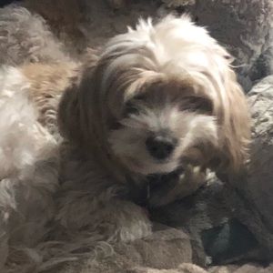 Meet your Posher, Mayra